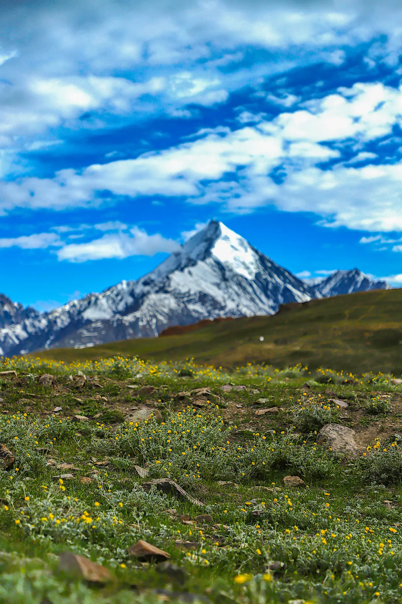 Scenic view near Kaza, Spiti Valley, Himachal Pradesh — photo 12