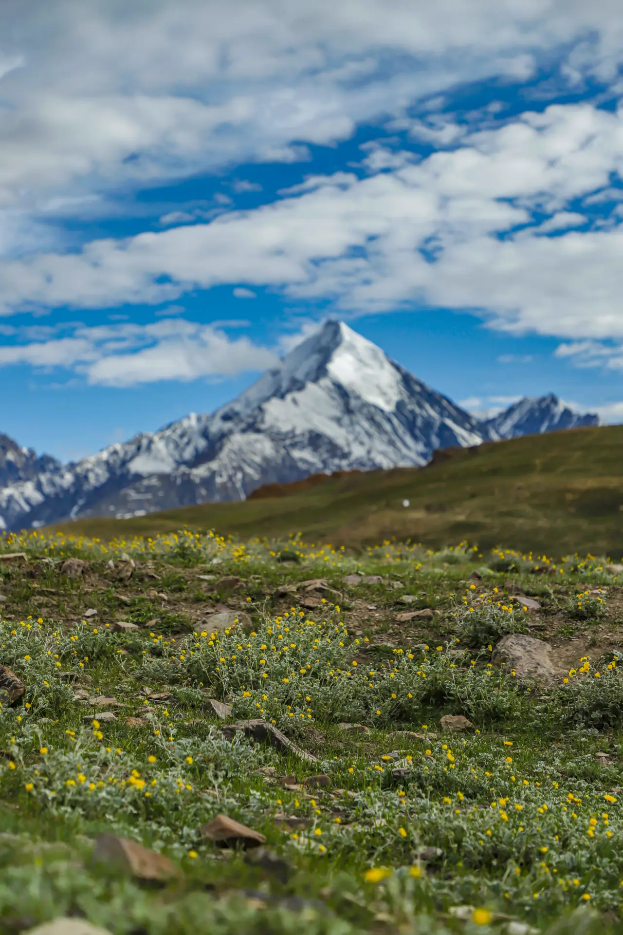 Scenic view near Kaza, Spiti Valley, Himachal Pradesh — photo 13